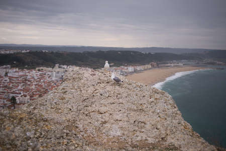 Wave crashing on a coast in Nazareの写真素材