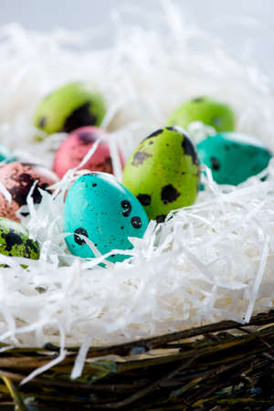 Colorful quail eggs in the nest for Easter holidayの写真素材