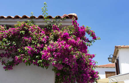 Sigacik Village is populer tourist destination in Turkey.の写真素材