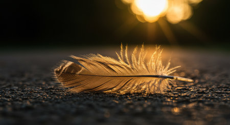 A macro photograph of a single bird feather, beautifully backlit by the warm "golden hour" light of the setting sun, which makes its fine details glow. The out-of-focus sun in the background creates a warm bokeh effect, highlighting the feather's delicate structure and texture. This poignant and peaceful image symbolizes concepts like hope, freedom, spirituality, finding a sign, and the fragile beauty of nature.の素材