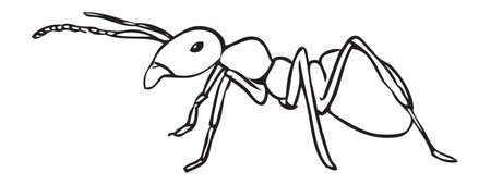 Ant Line Artのイラスト素材