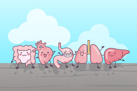 cute cartoon intestine,heart,stomach,lung and liver, sittinig togetherのイラスト素材