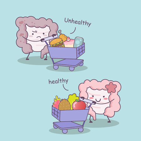 Cute cartoon Healthy and unhealthy intestine with shopping cart - great for health care conceptのイラスト素材