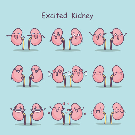 excited cartoon kidney,great for your conceptのイラスト素材