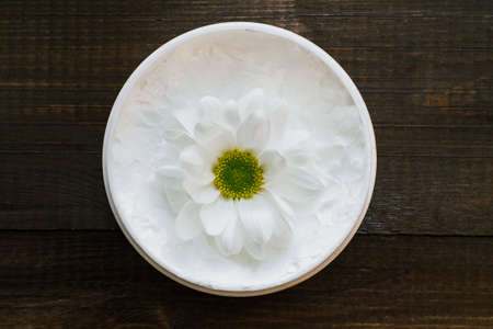 White cream on a dark wooden background next to a chrysanthemum flower. Spring skin care.