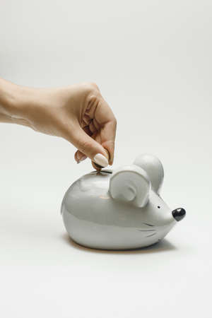 A woman puts a coin in the piggy bank of a gray mouse. Symbol of 2020, family budget and saving money.の写真素材