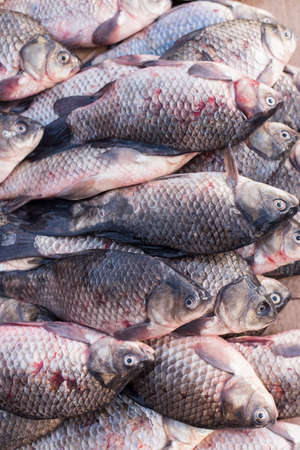 Dead wet fish lies in the market. Top down view on multiple rows of various raw freshly caught fish on ice for saleの写真素材
