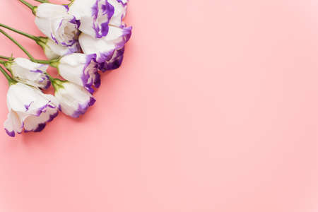 Frame of eustoma on pink pastel background. Spring flowers. Spring background. Greeting card for Valentine. Spring flowers. Blue roses on pastel background. Flat lay.の写真素材