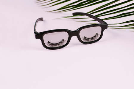 Fashion black sunglasses with false eyelashes on a pink pastel background with a palm leaf. Female...