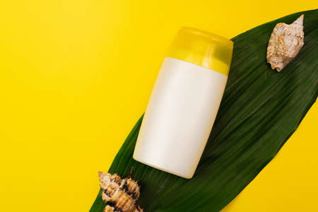 Sunscreen on a palm leaf on a yellow background and next to shells. Cream for sun protection. Ultraviolet protection.の写真素材