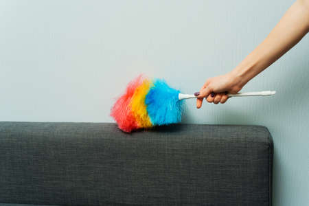 Housewife wipes dust with a dust brush during spring cleaning at home. Household chores and housekeeping.の写真素材