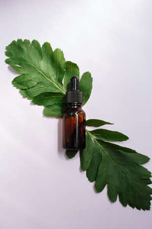 Moisturizing serum with a natural leaf on the background. Natural cosmetics concept.の写真素材