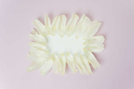 A tenderness white frame on the pink background. A tenderness white frame with the petals.