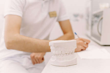 The concept of writing to the dentist. The man writes something on the patients medical record. In the foreground is an artificial jaw.の写真素材