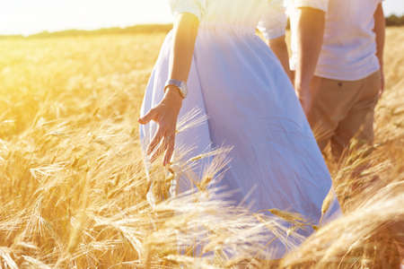 A couple in love walks through a wheat field. Close-up of the girls hand touching wheat.の写真素材