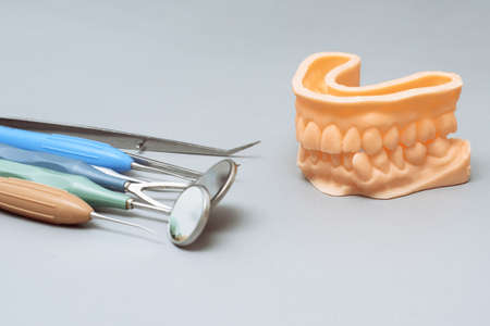 Dentist tools and artificial jaw on a blue background. The concept of dental care and going to dentistry. The concept of correcting the jaw bite.の写真素材