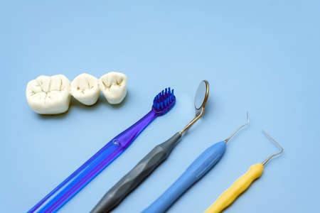Artificial teeth with caries and toothbrush with dental tools lie on a blue background.
