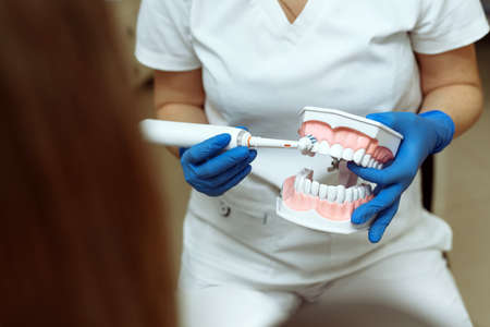 The doctor shows the patient how to properly brush his teeth with an electric toothbrush clearly on the artificial jaw.の写真素材