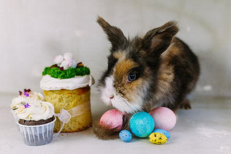 Easter bunny rabbit with multicolored painted egg on grey background. Easter holiday concept.の写真素材