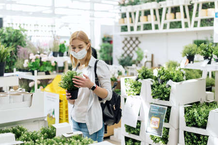 A young woman chooses small deciduous plants for her home. Buying home plantsの写真素材