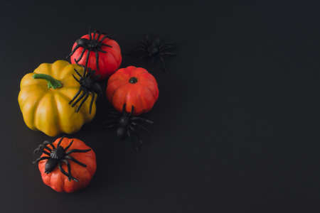 Halloween decorations on a black background. Decorative orange pumpkins and spiders. Halloween concept. Copy spaceの写真素材