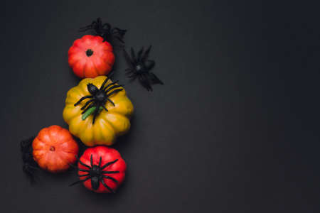 Flat lay halloween composition on black background. Top view, copy spaceの写真素材