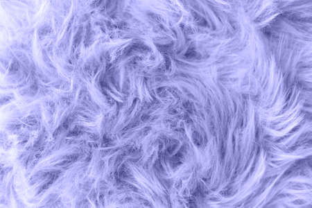 Color of the year 2022, Very Peri. Top view Fluffy wool texture sample. Fashionable beauty, trendy...
