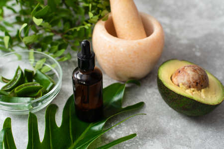Face serum next to aloe vera, walnut, avocado and palm leaf. Professional skin care, natural cosmetics conceptの写真素材