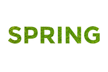 Colorful word spring with images of grass inside the letters on a white background.の写真素材