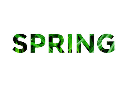 Colorful word spring on a white background. Word with spring images of grass inside the lettersの写真素材