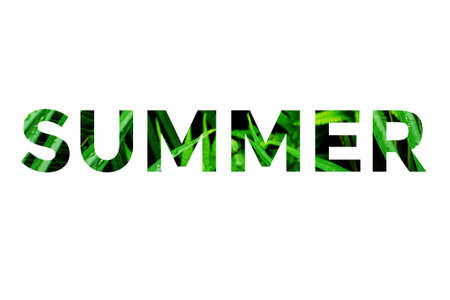 Colorful word summer with images of grass inside the letters on a white background.の写真素材