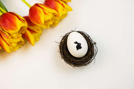 White egg with a pattern of a rabbit in a nest with red tulips on a white background. Easter greeting card.の写真素材