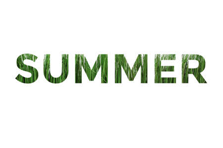 Colorful word summer with images of grass inside the letters on a white background.の写真素材