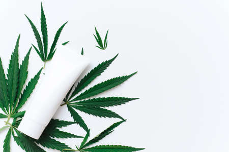 Tube with hemp oil moisturizer on white background with copy space and mockup. Cannabis in the production of cosmetics for skin careの写真素材