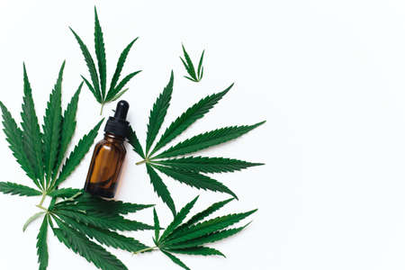 Dropper bottle with CBD oil and hemp leaves. Cosmetic serum CBD on a white background. Copy spaceの写真素材