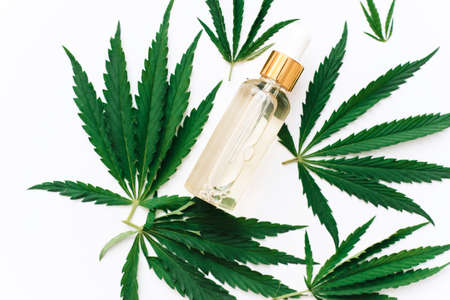 Hemp CBD oil in a bottle on a white background with hemp leaves, biomedicine and ecology, hemp grass, medicine, cbd oil from a medical extract.の写真素材