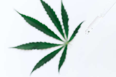 Hemp CBD oil in a pipette on a white background with a hemp leaf, biomedicine and ecology, hemp grass, medicine, cbd oil from a medical extract.の写真素材