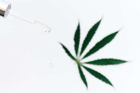 Pipette with a cosmetic product with hemp extract and cannabis leaf on a white background. A drop of cosmetic CBD oil falls from the pipetteの写真素材