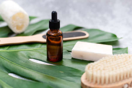 Natural cosmetics for bathing on the background of a palm leaf. Body moisturizing soap, serum and oil, loofah loofah and drainage brushの写真素材