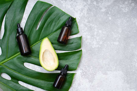 Serum with avocado oil on a tropical leaf with copy space. Avocado oil in glass bottle with dropperの写真素材
