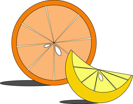 Illustration of citrus slicesのイラスト素材