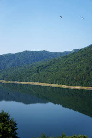 Panorama view of the Vidraru lake in Fagaras mountains of Romania with black swallows flying over...