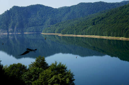Panorama view of the Vidraru lake in Fagaras mountains of Romania with black swallows flying over the waterの写真素材