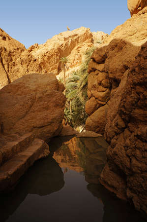 View of the sourse water in the Chebika oasis in Tunisiaの写真素材
