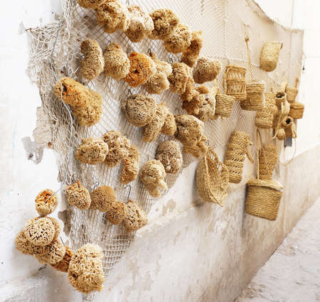 Natural sponges on sale in a street of the medina of Sousseの写真素材