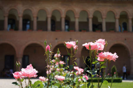 The garden of the Mogosaia Palace in Romania with pink rosesのeditorial素材