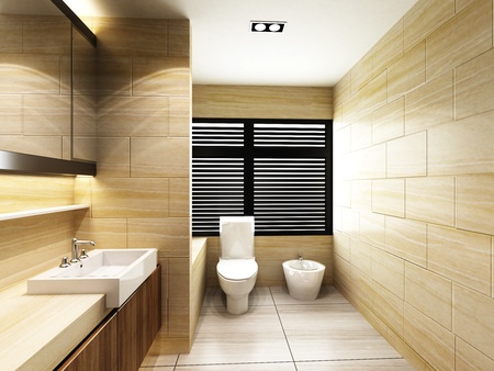 Toilet in Bathroomの写真素材