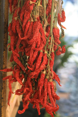 Red hot chili pepper on the market