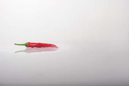 Red hot chili pepper in a Studioの写真素材
