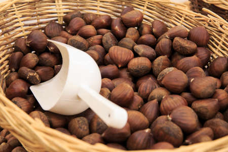 Filberts in the basket